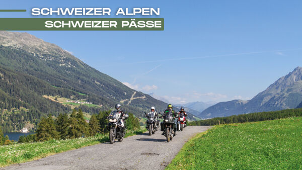 Schweizer Pässe Schweizer Pässe